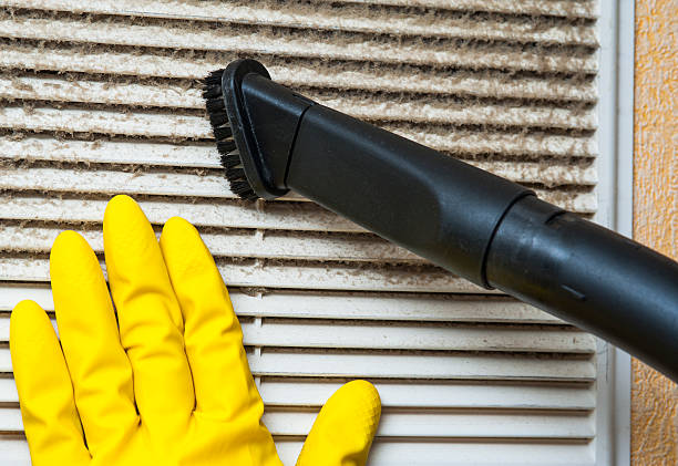 Best Affordable Duct Cleaning Services  in Lake Pocotopaug, CT